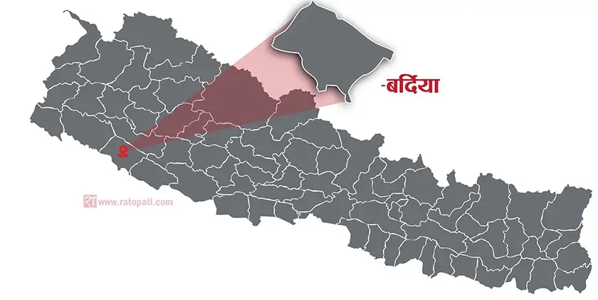 कटुवा पेस्तोल र एकनाले भरूवा बन्दुक बरामद