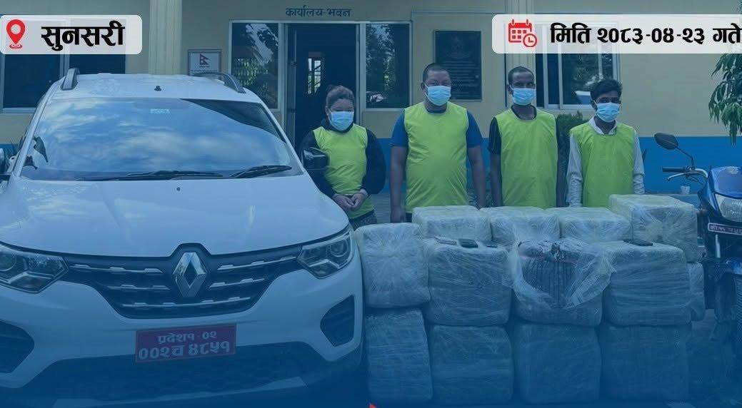 सुनसरीमा ४१८ किलो गाँजासहित चार जना पक्राउ