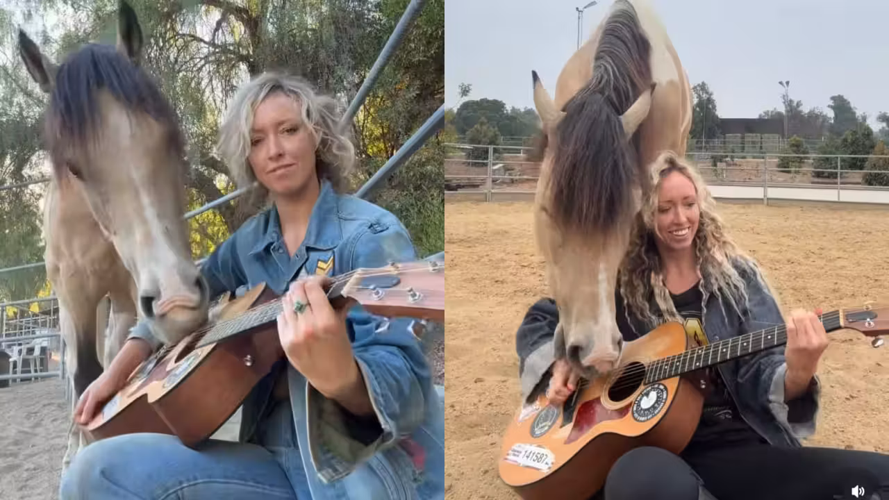 Los Angeles singer taught her rescue horse to play the guitar and harp