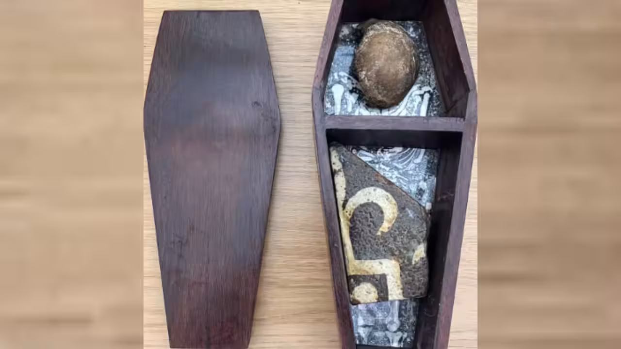 11-year-old boy took Abbot's kneecap in 1956; 70 yrs later, his widow returns it to the museum