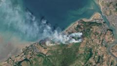 Wildfire-ravaged habitats in Wales could take centuries to recover, environmentalists say