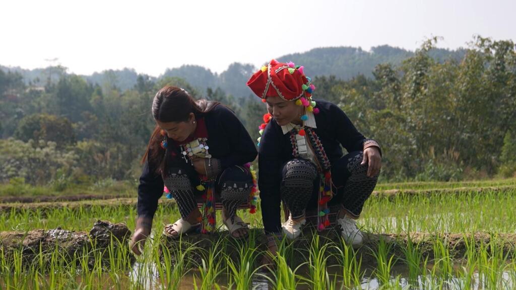 Vietnam's indigenous Hmong people forced to adapt to climate crisis