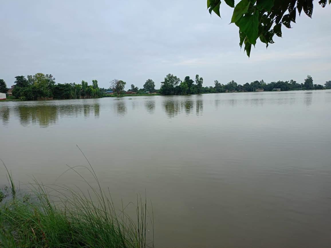 रौतहटका धान खेत जलाशयमा परिणत, किसान मर्कामा
